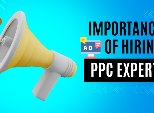 Importance of Hiring PPC Expert